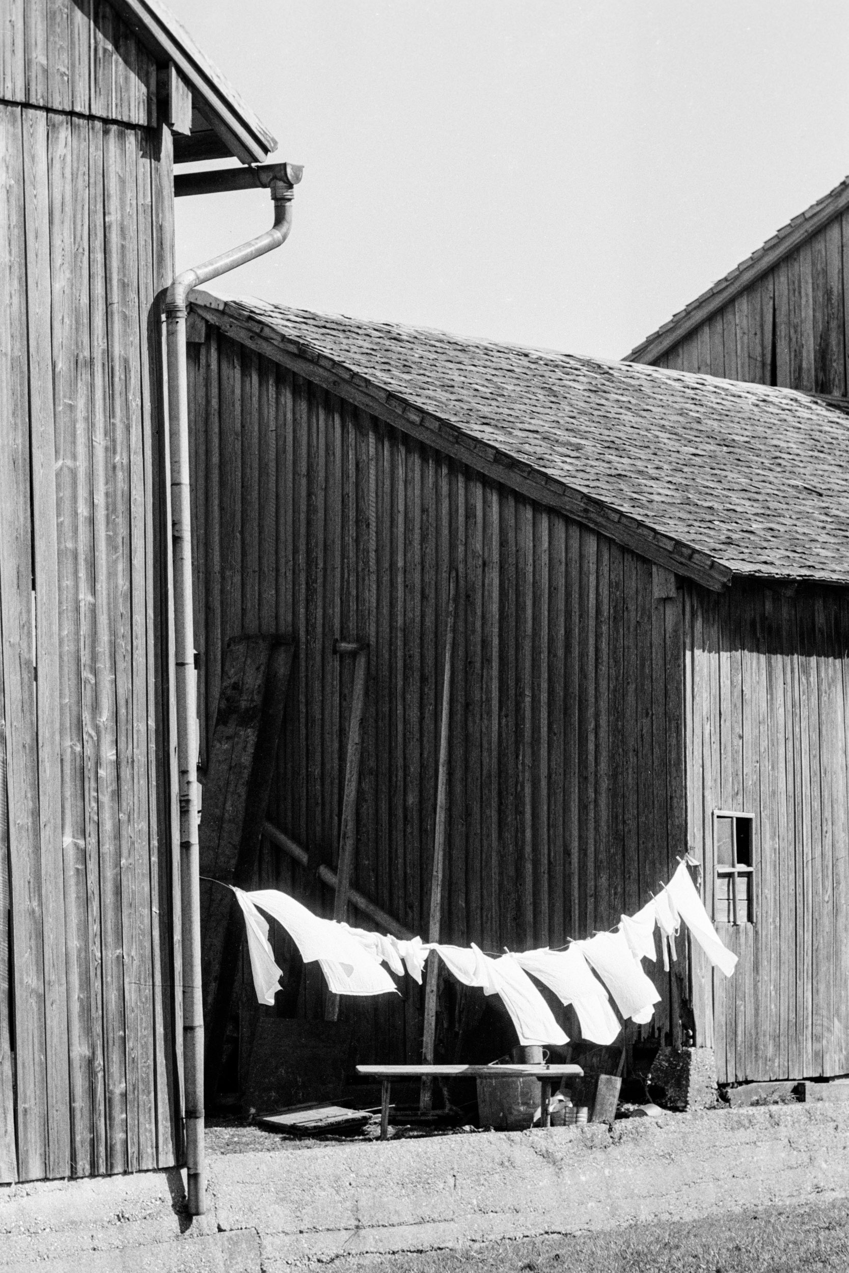 o.T. 1960