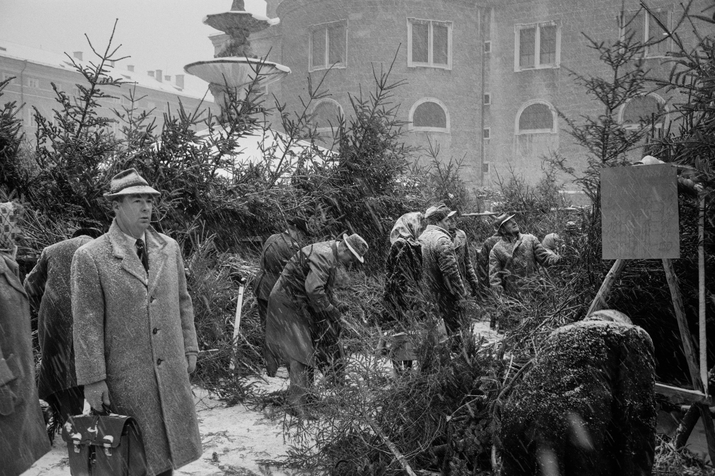 Christbaummarkt Residenzplatz, Salzburg, 1962