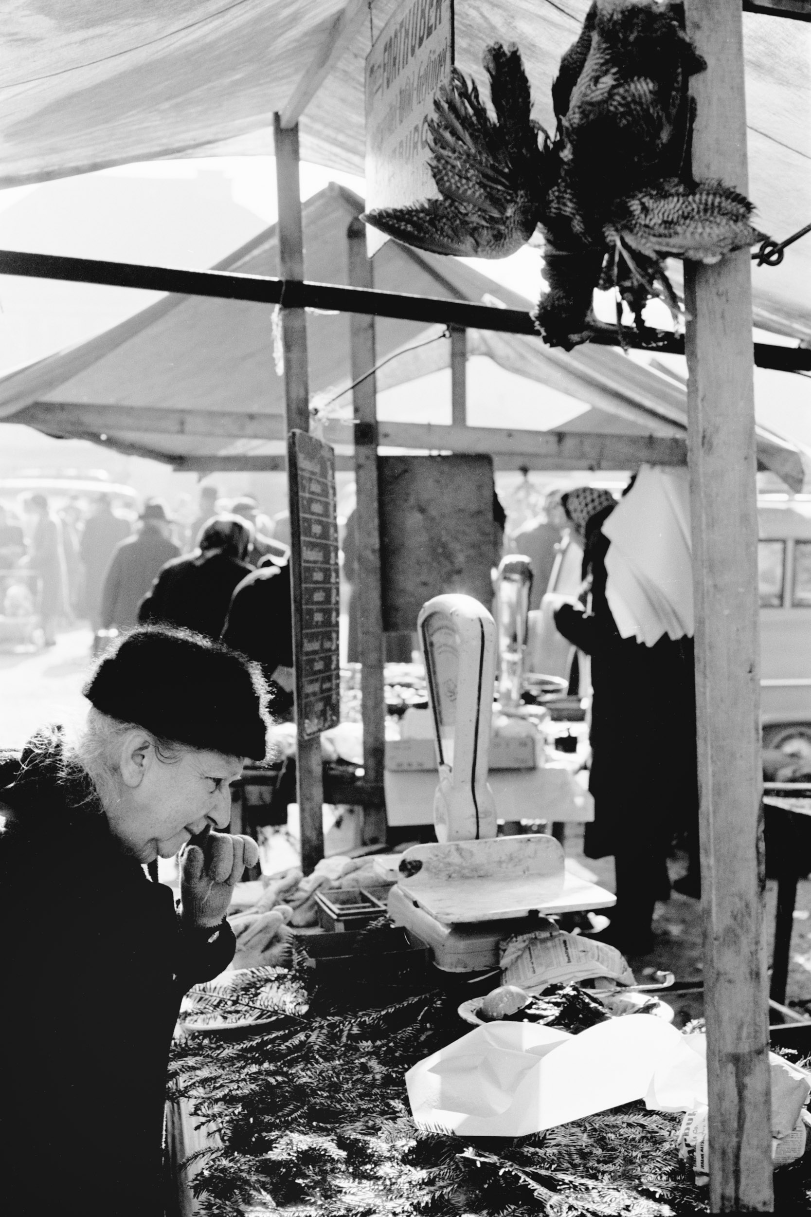 Grünmarkt am Universitätsplatz, Salzburg, 1960