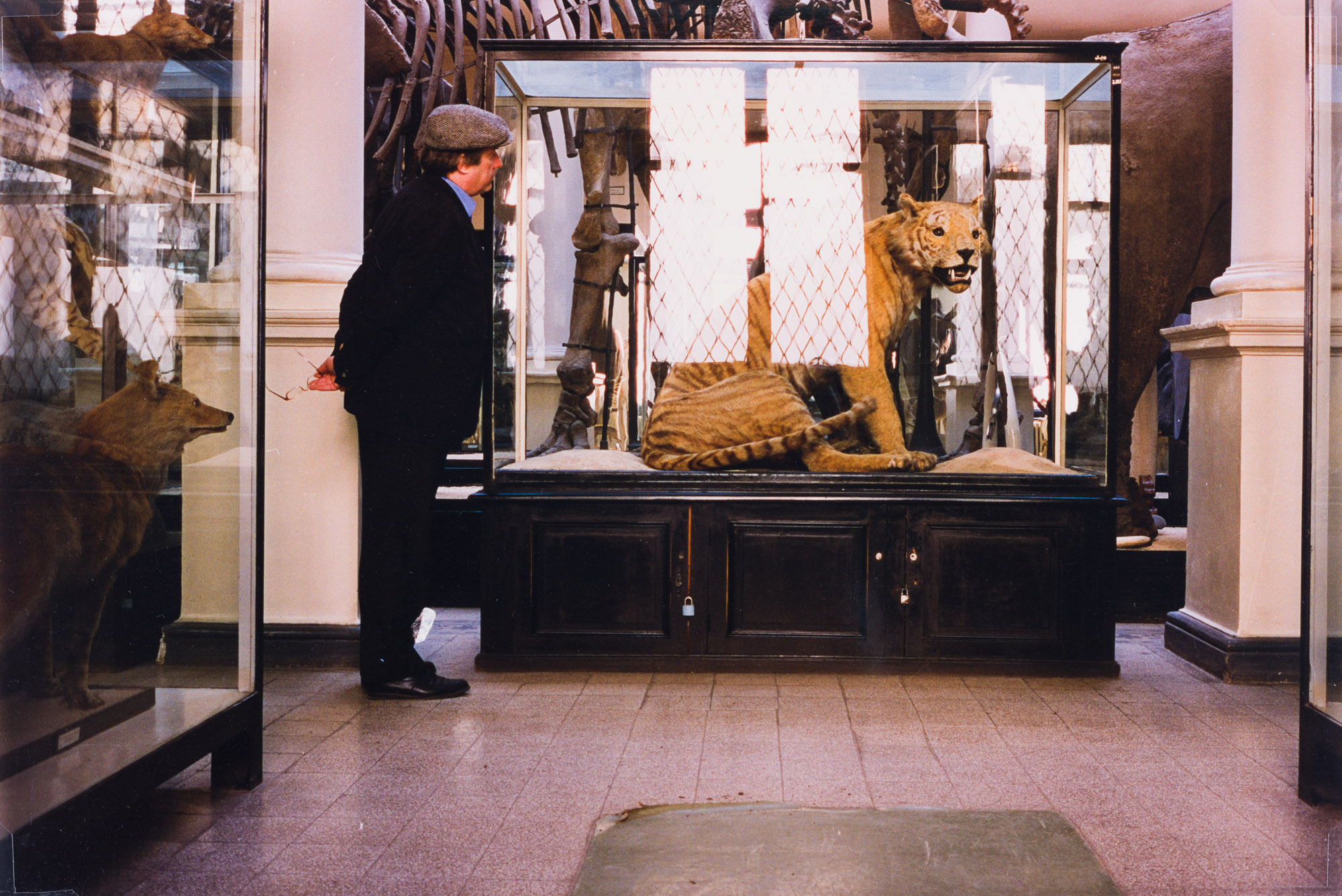 Aus der Serie "In unmittelbarer Nähe", Antipa, Naturhistorisches Museum, Bukarest, o.J.