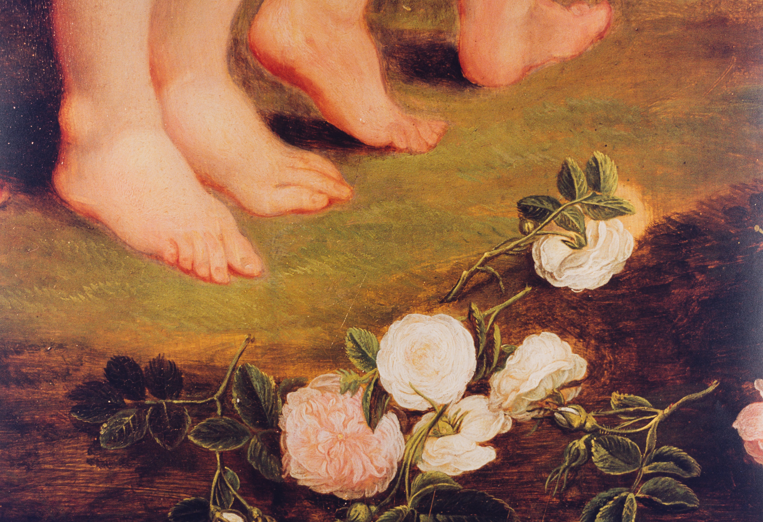 Aus der Serie In unmittelbarer Nähe, 2003 (Gemäldegalerie der Bildenden Künste Wien)