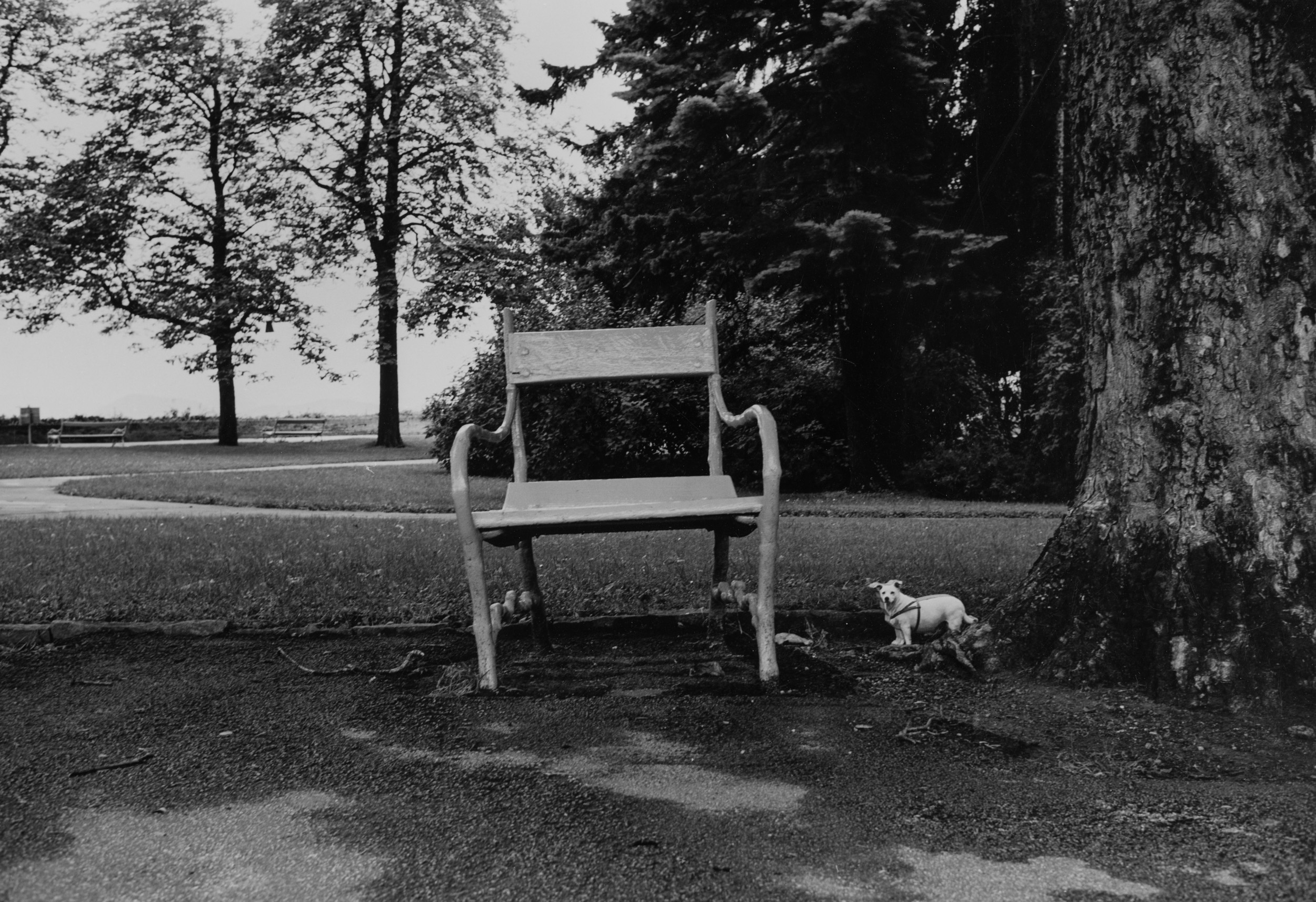 Aus der Serie "Mit großem Interesse",  1989