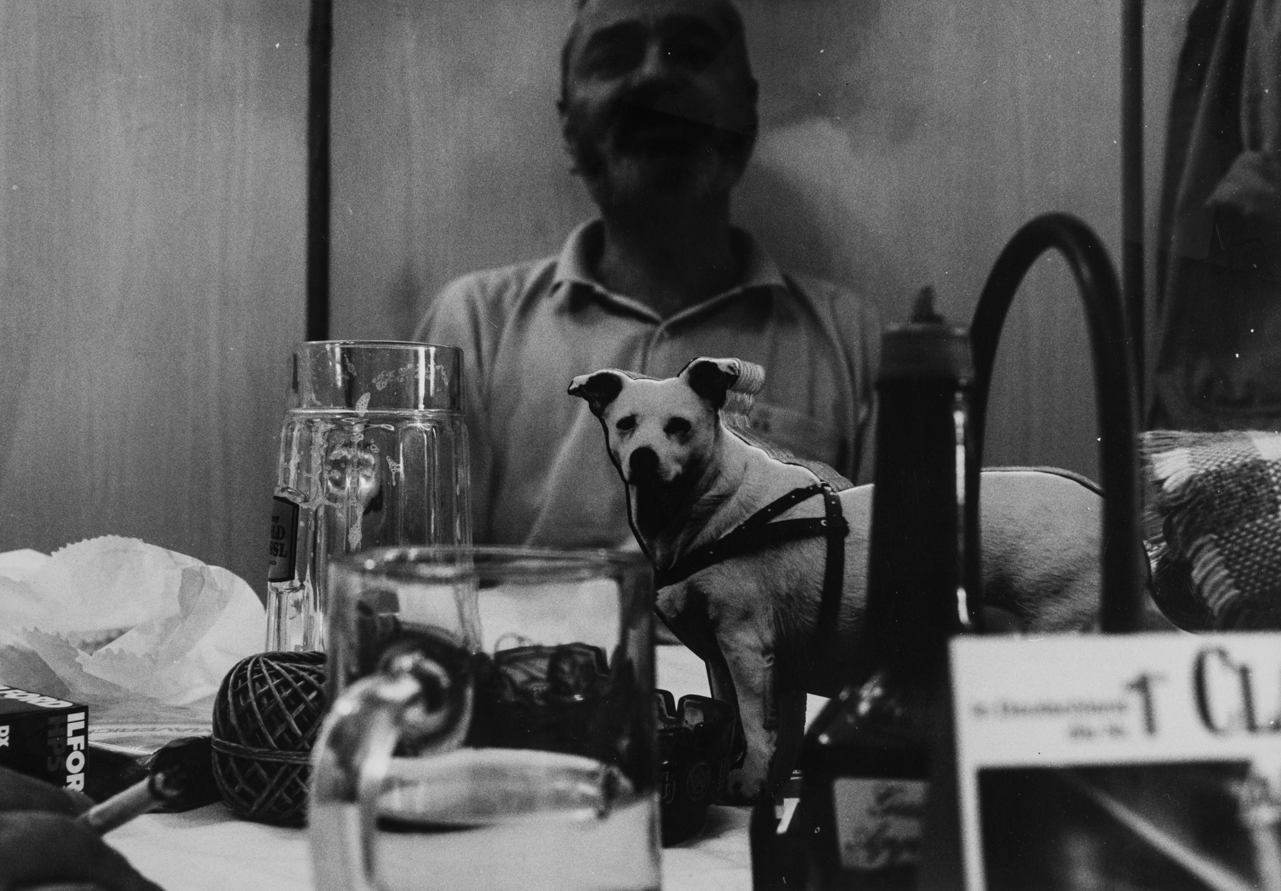 Aus der Serie "Mit großem Interesse",  1989