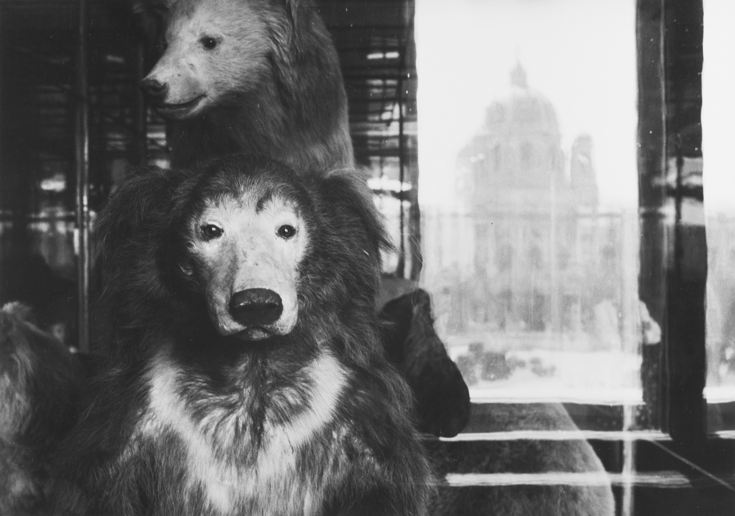 Aus der Serie "Mit großem Interesse",  1989