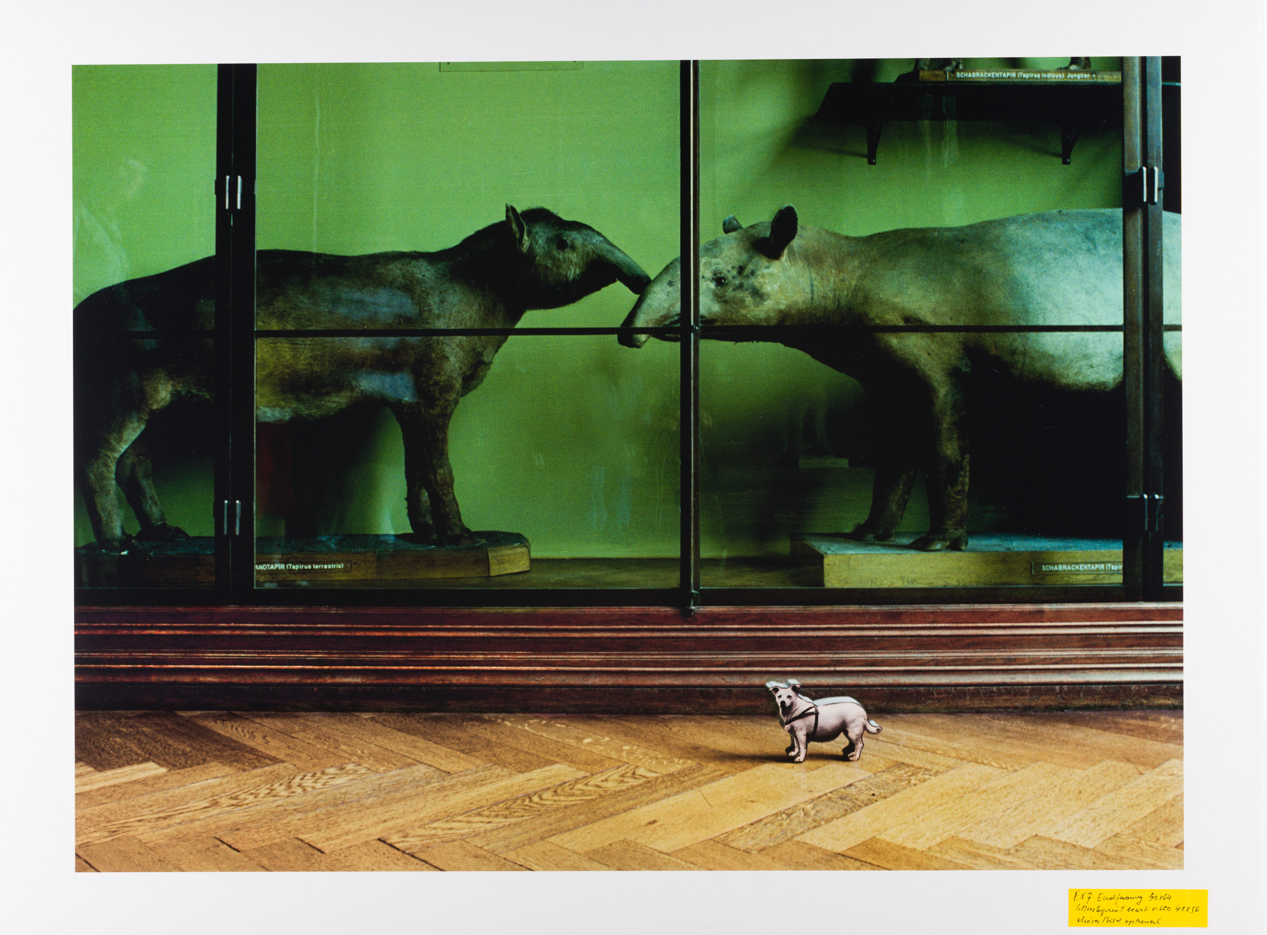 Aus der Serie "Mit großem Interesse", 1989 (Naturhistorisches Museum Wien)