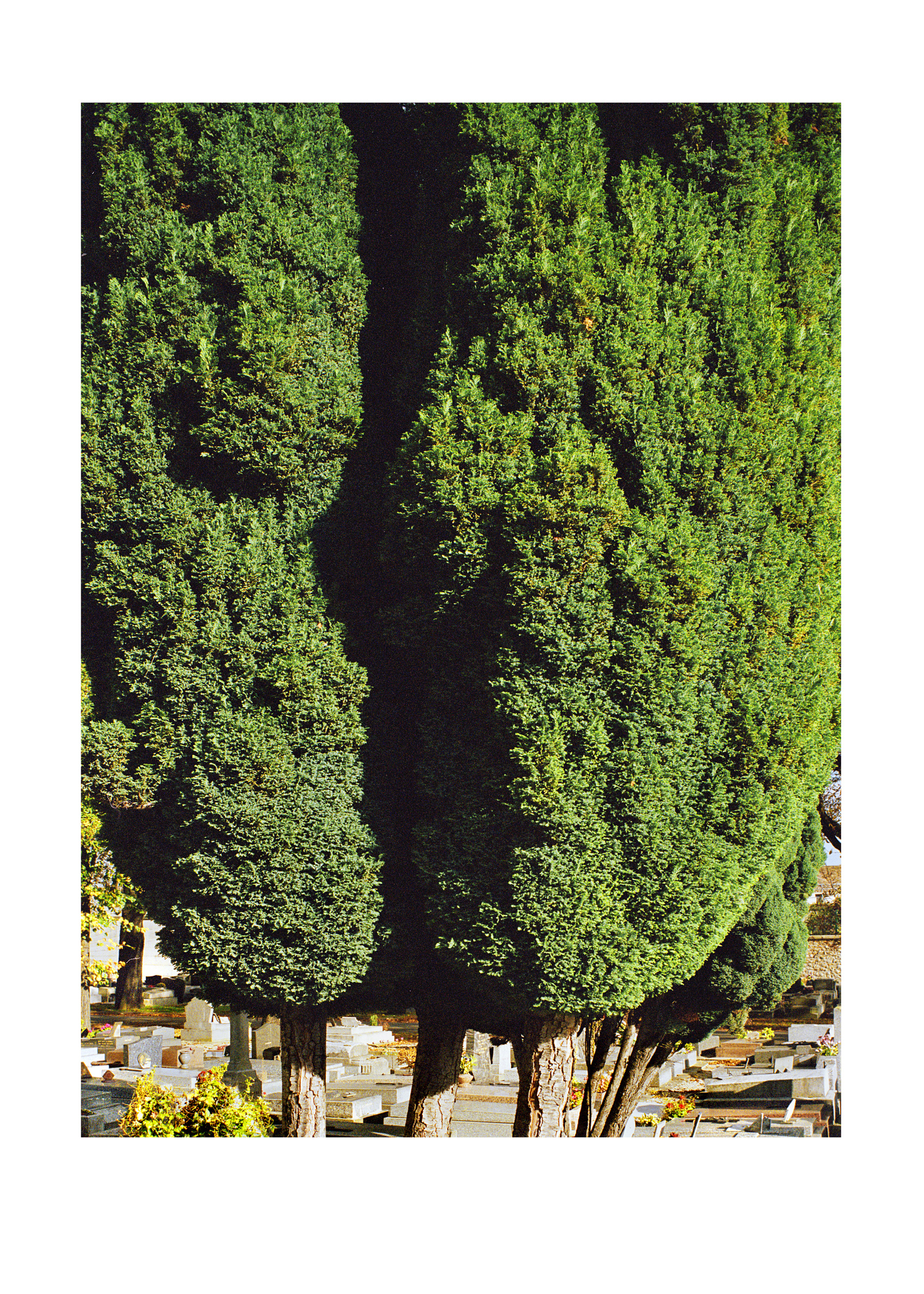 Aus der Serie Changement de Propriétaire, Paris, 2007/2008