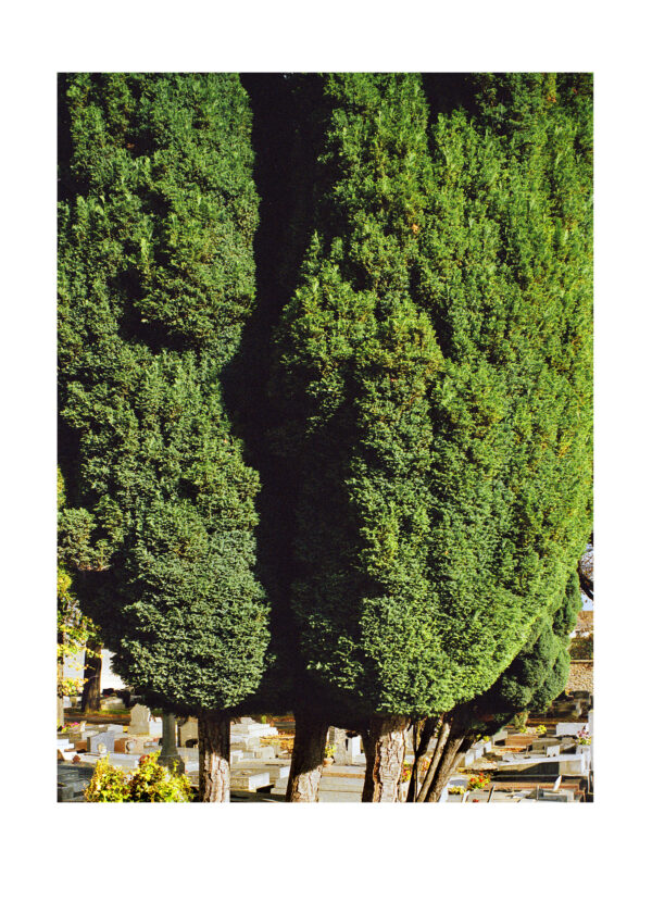 Aus der Serie Changement de Propriétaire, Paris, 2007/2008