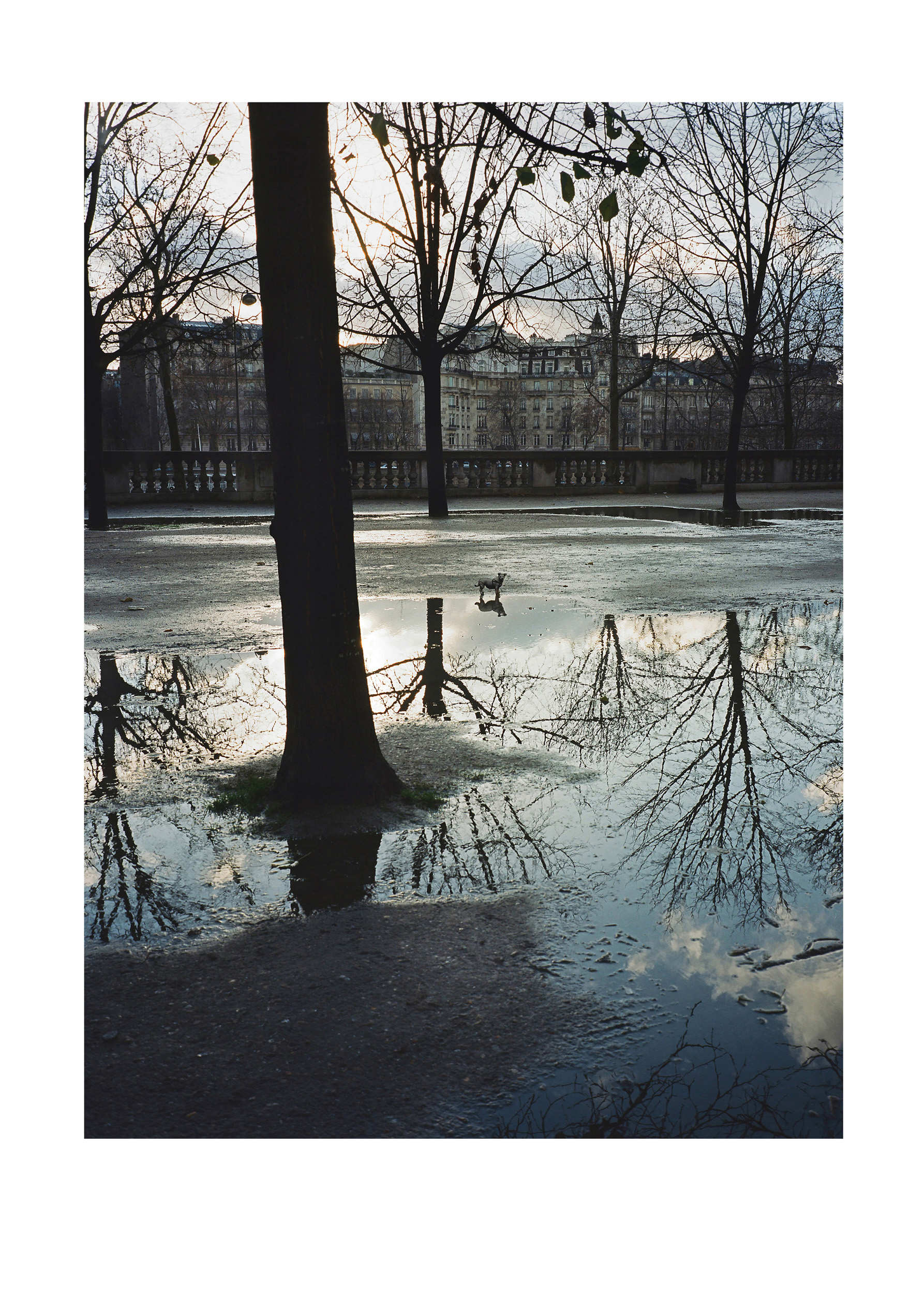 Aus der Serie Changement de Propriétaire, Paris, 2007/2008