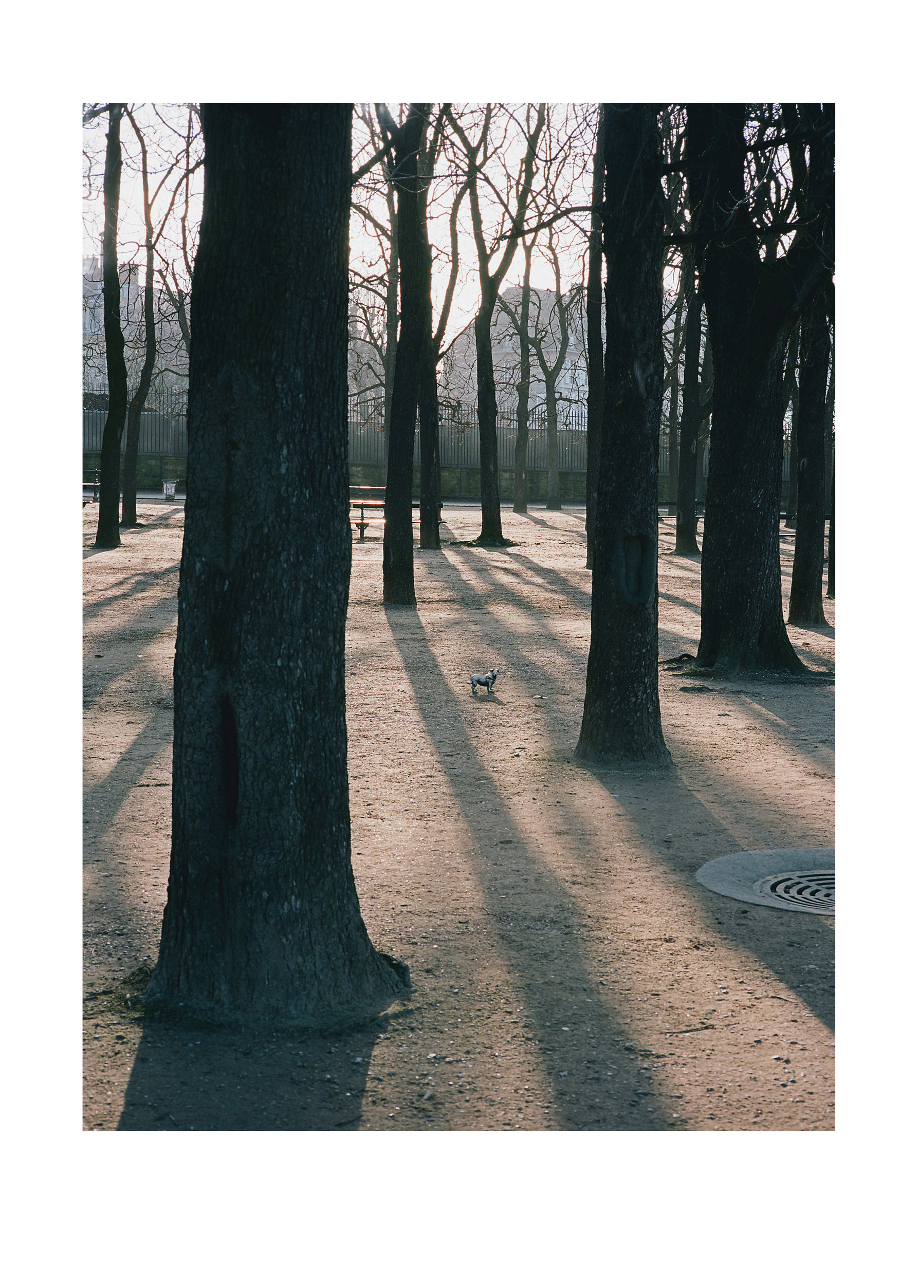 Aus der Serie Changement de Propriétaire, Paris, 2007/2008