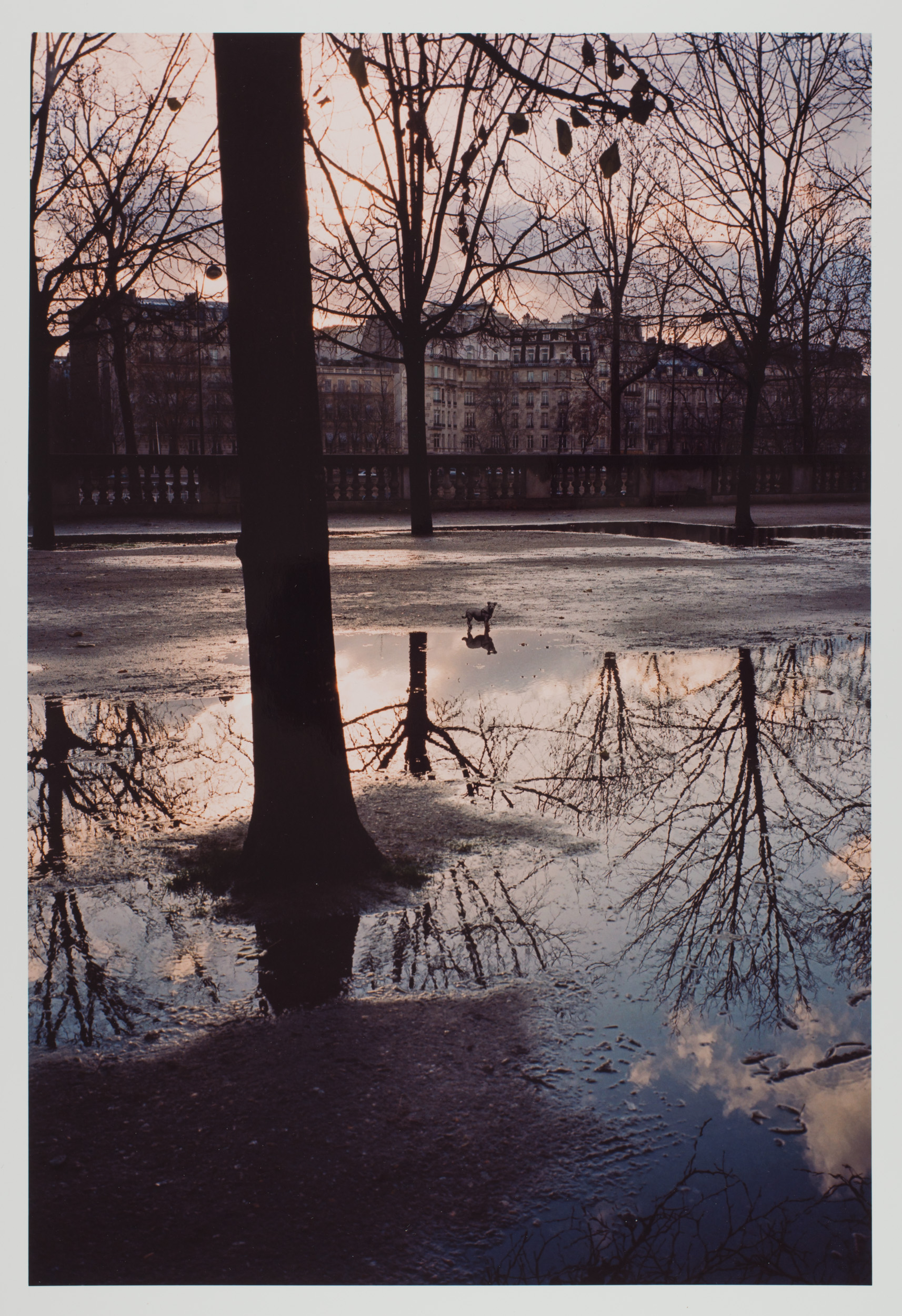 Paris, 2007/2008