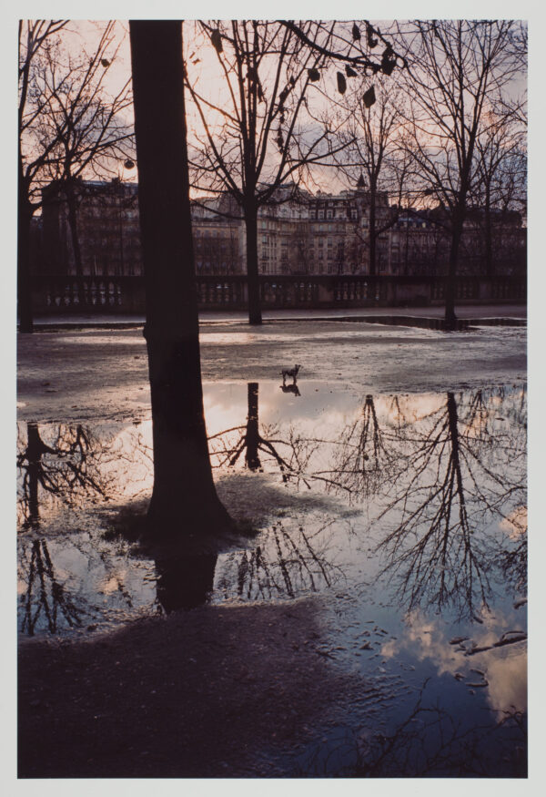 Paris, 2007/2008