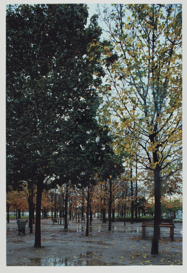 Paris, 2007/2008