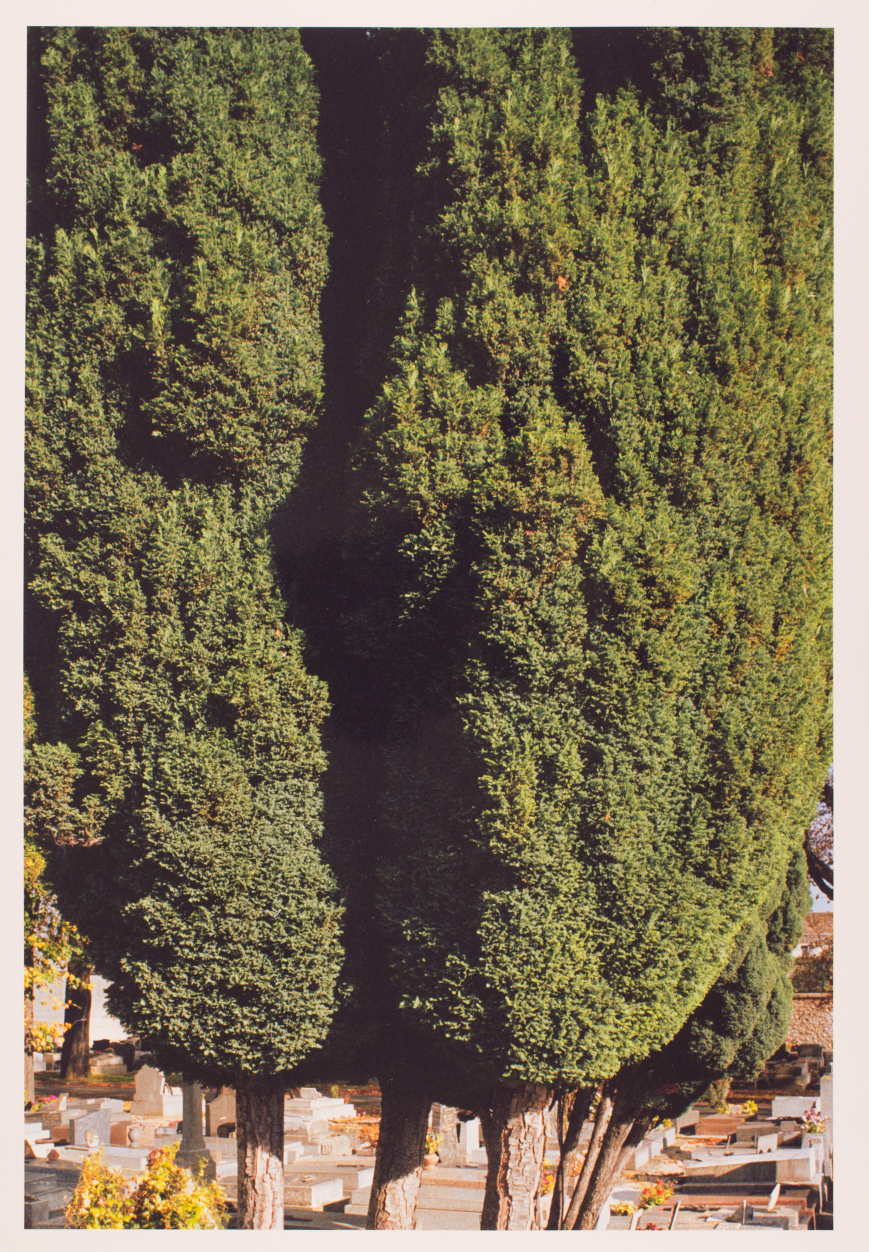 Changement de Propriétaire, Paris, 2007/2008