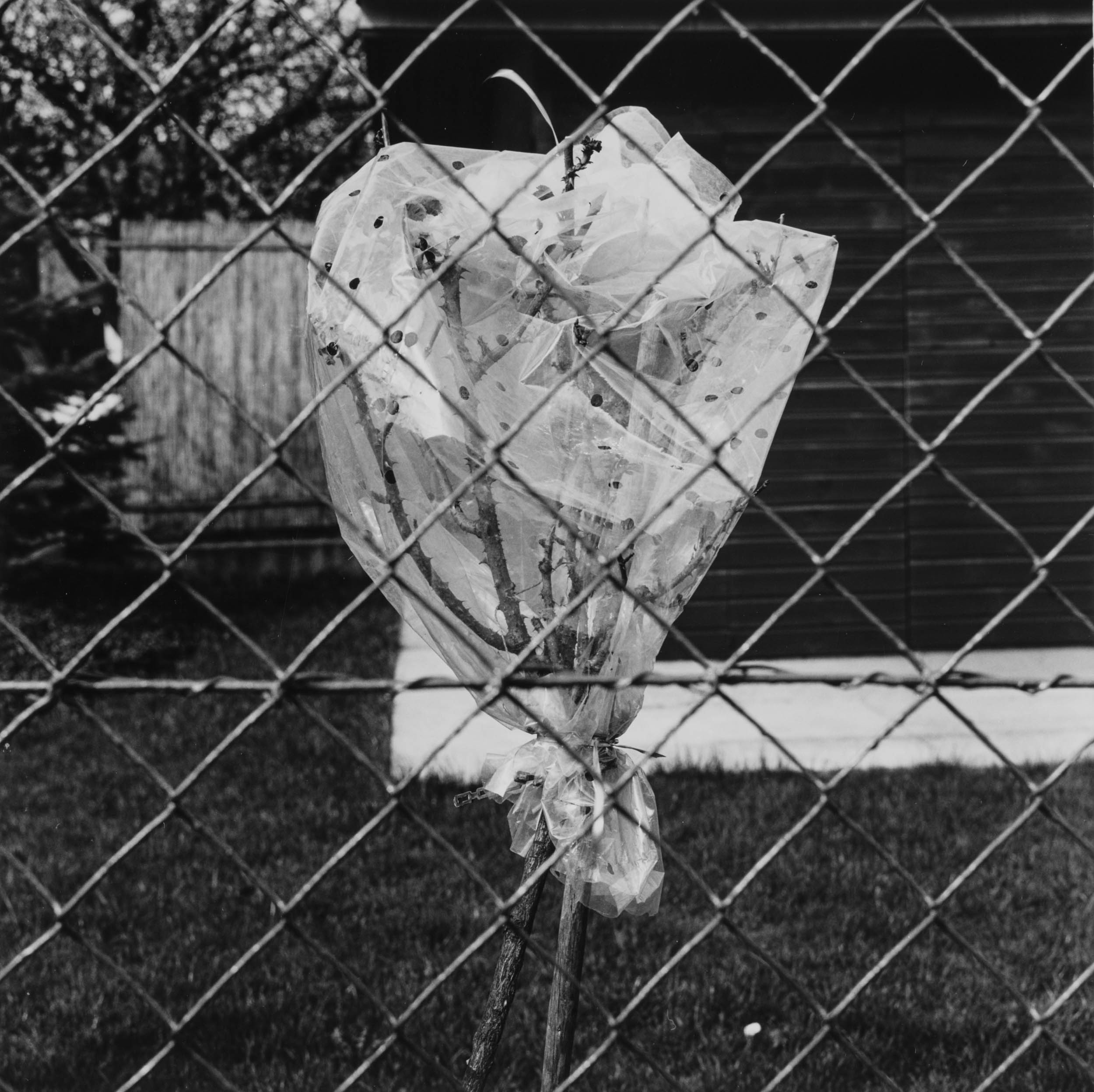 Aus der Serie ?Wiental?, frühe 1980er-Jahre