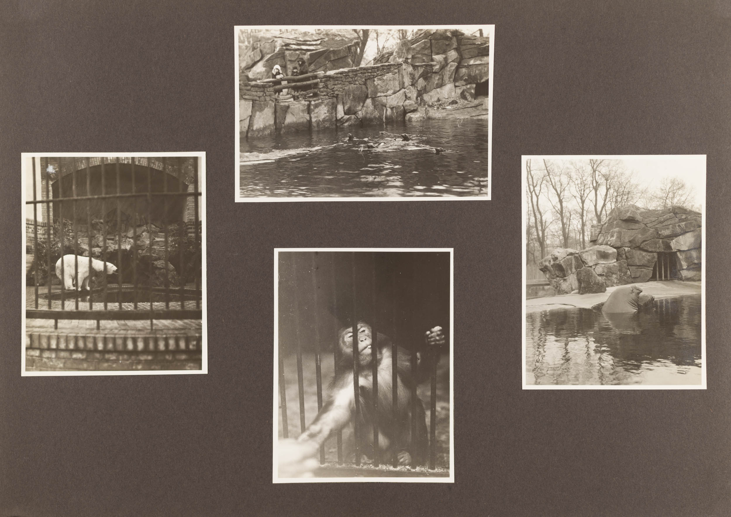 Album, Agfa Fotoschule, Berlin, 1931