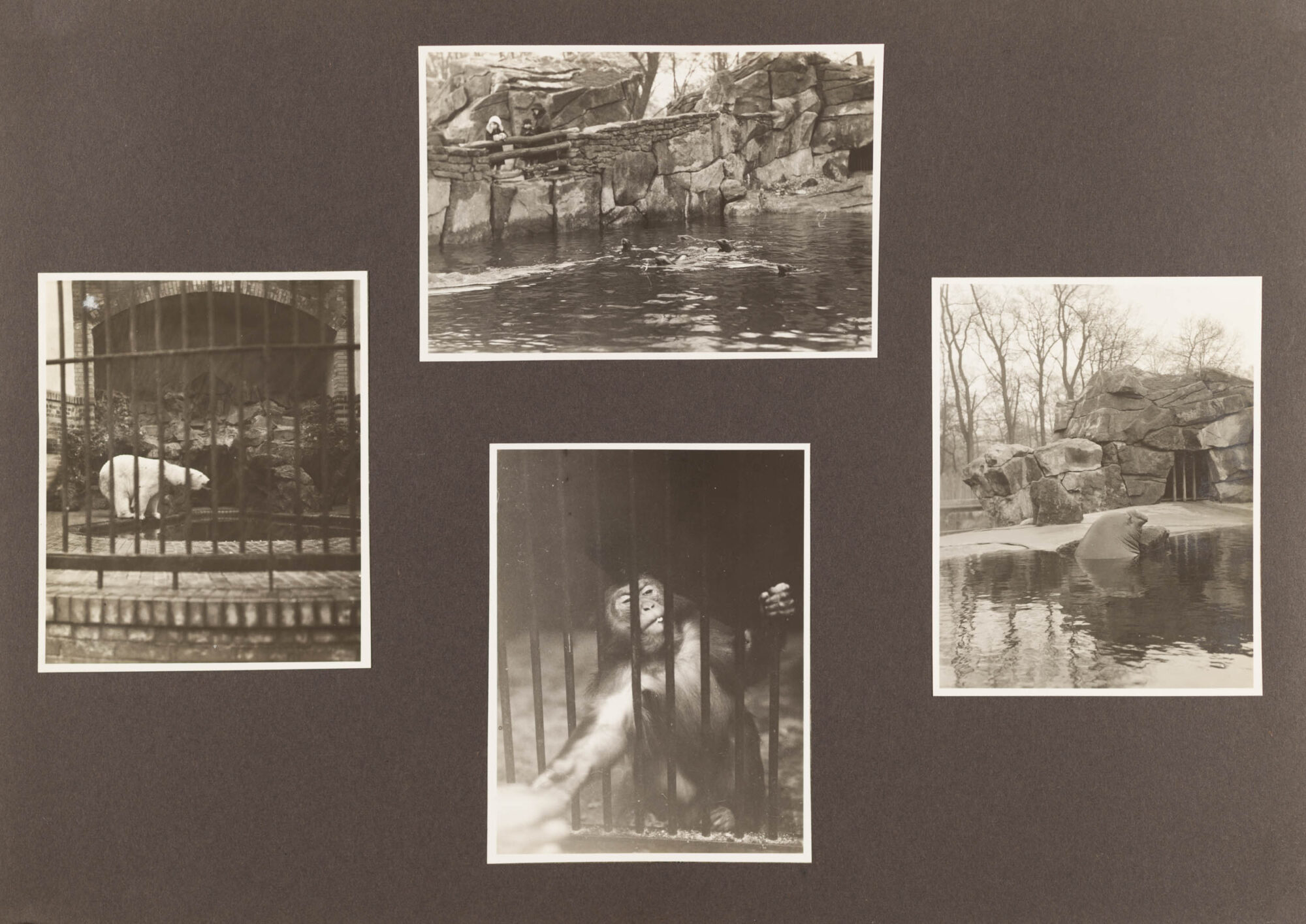 Album, Agfa Fotoschule, Berlin, 1931