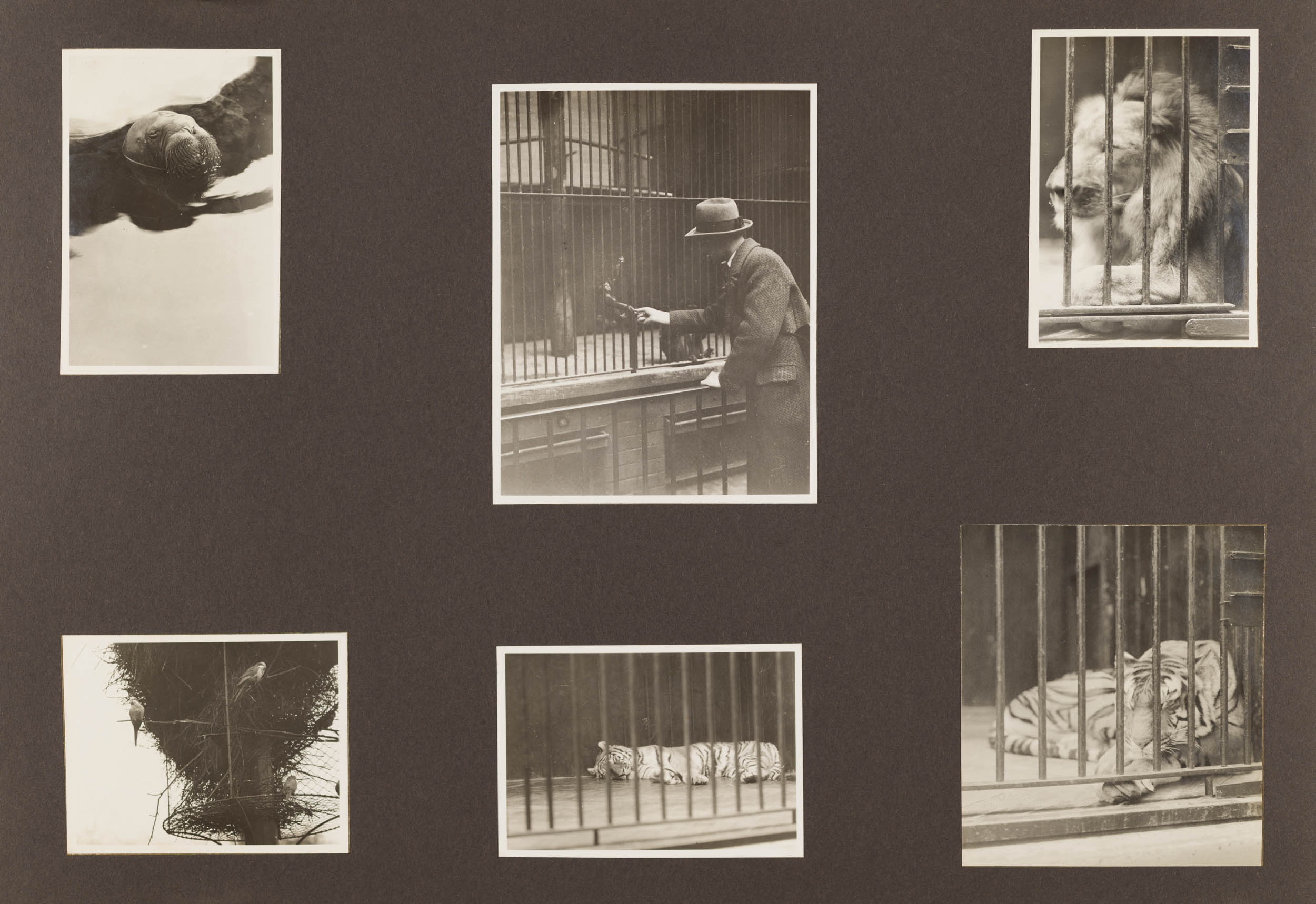 Album, Agfa Fotoschule, Berlin, 1931