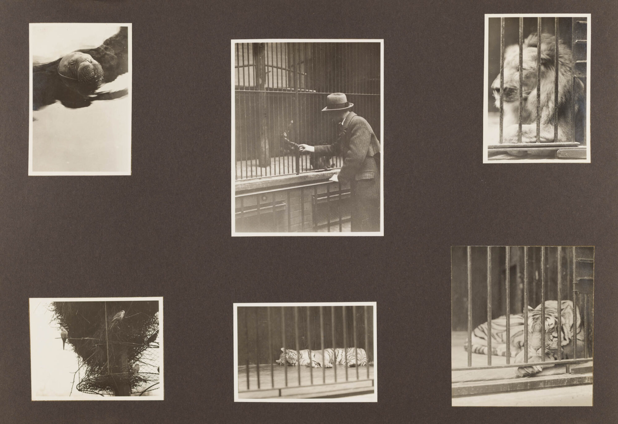 Album, Agfa Fotoschule, Berlin, 1931