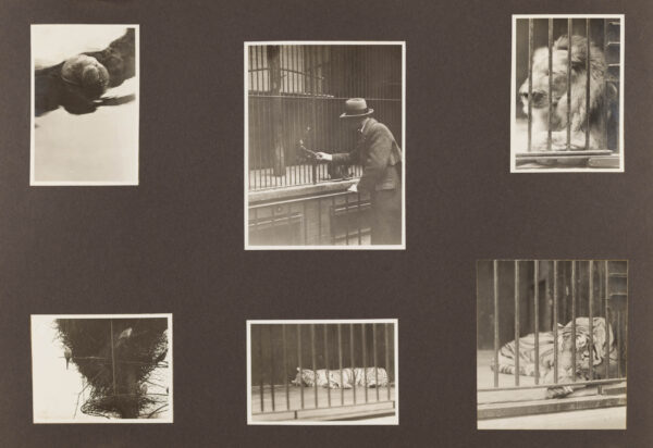 Album, Agfa Fotoschule, Berlin, 1931