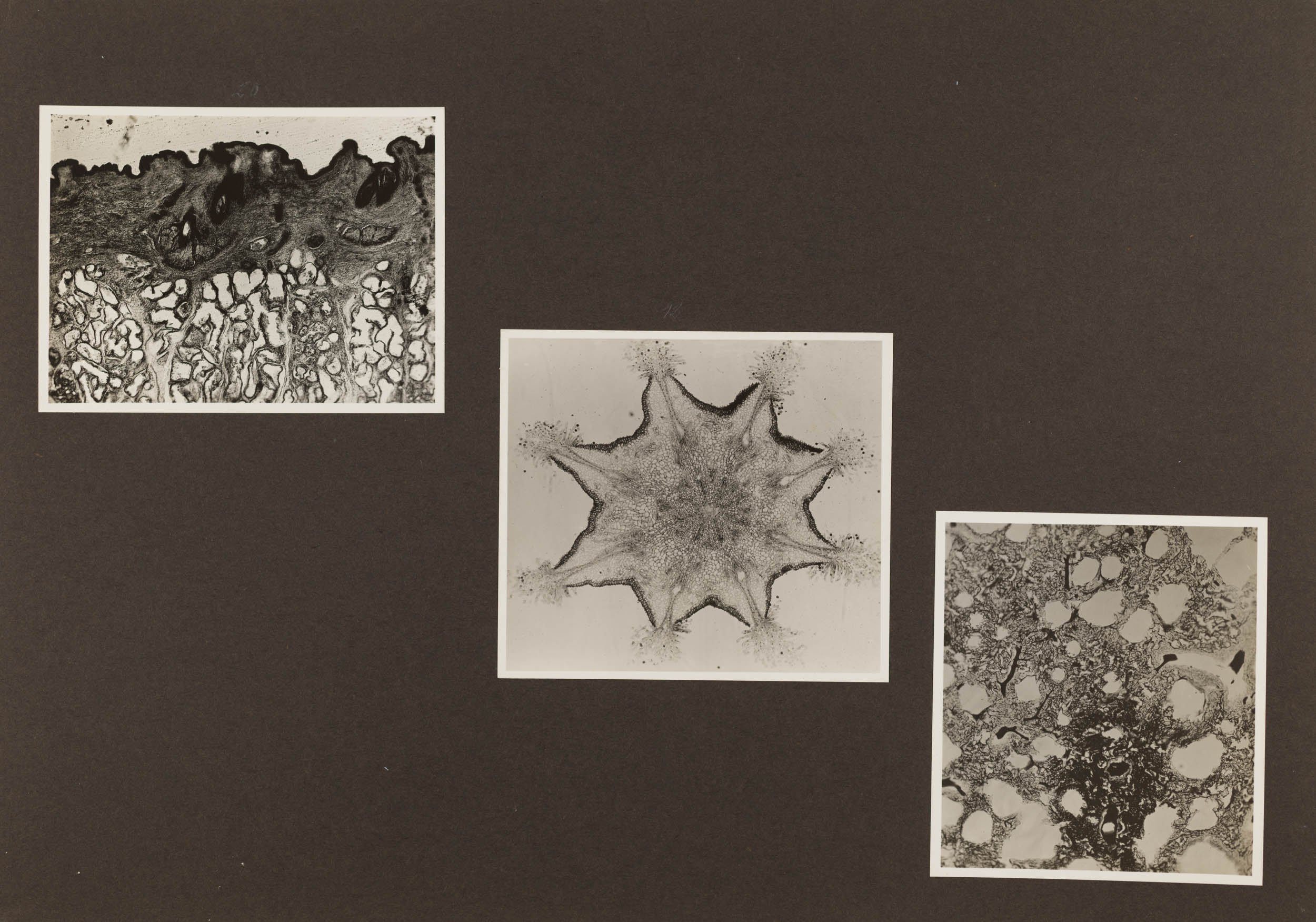 Technische Musterbilder Agfa Fotoschule, Berlin, 1931