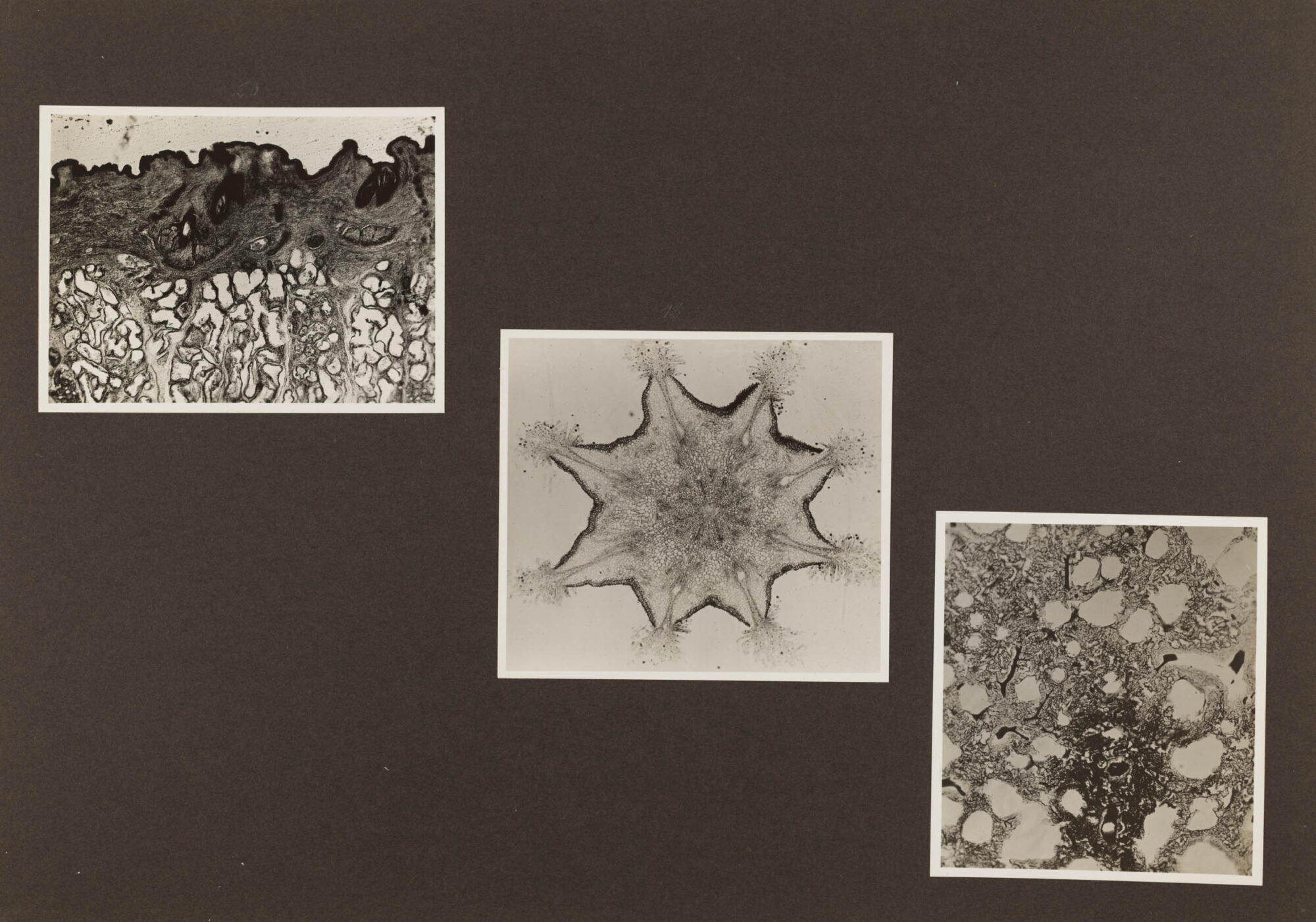 Technische Musterbilder Agfa Fotoschule, Berlin, 1931