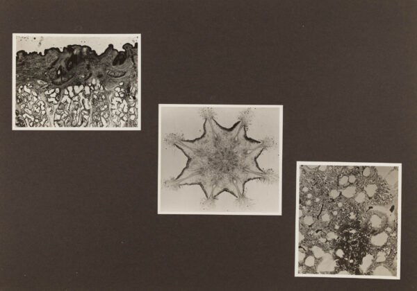 Technische Musterbilder Agfa Fotoschule, Berlin, 1931