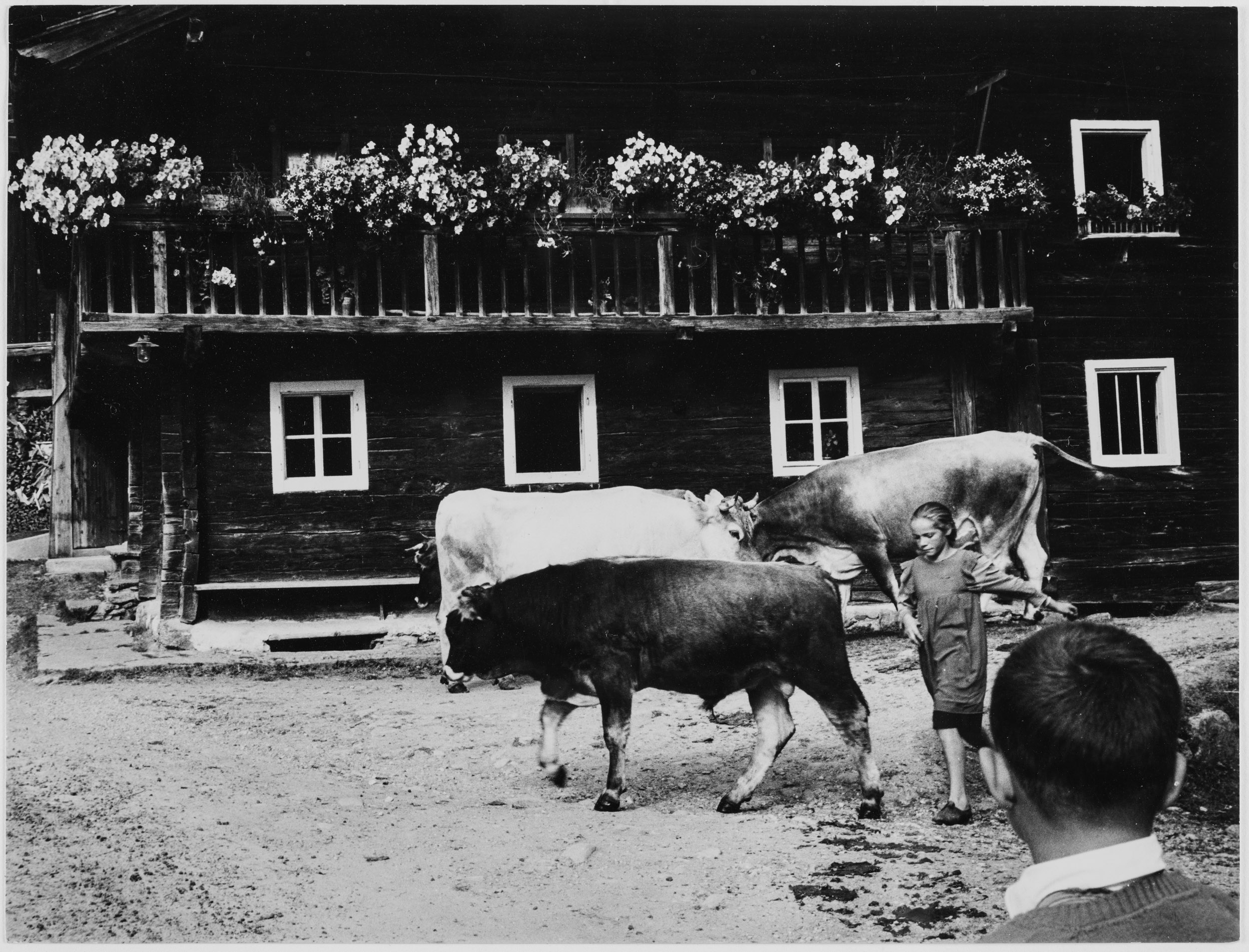 Osttirol, o.J.