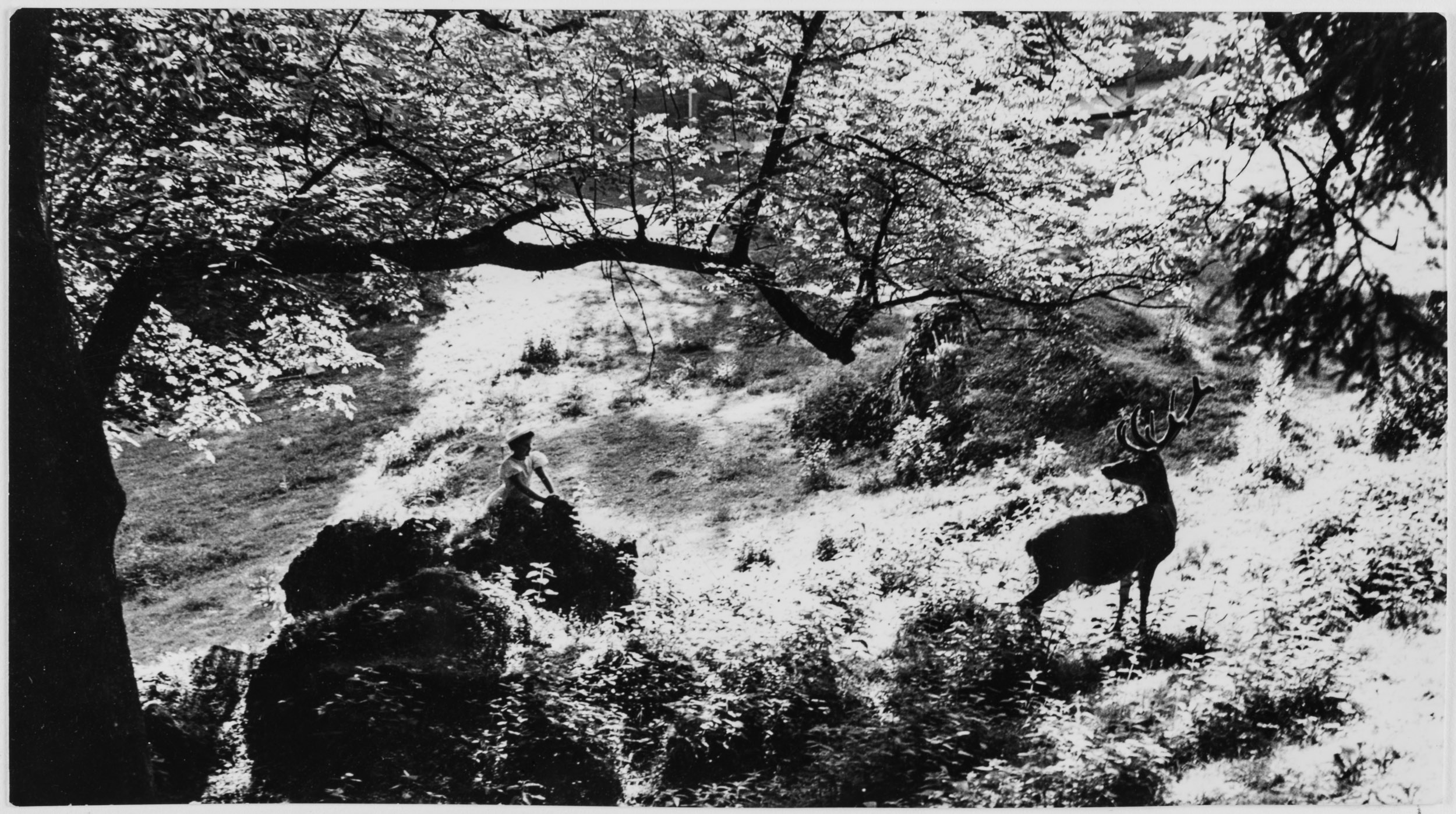 Tiergarten Hellbrunn, Salzburg, o.J.