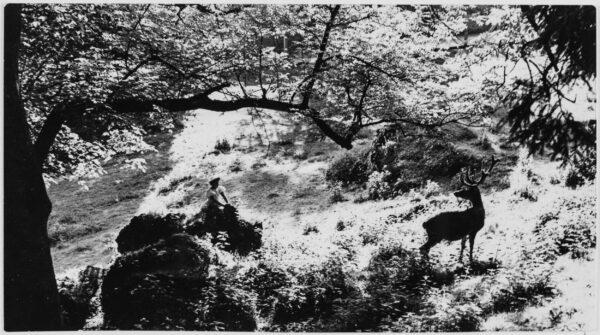 Tiergarten Hellbrunn, Salzburg, o.J.